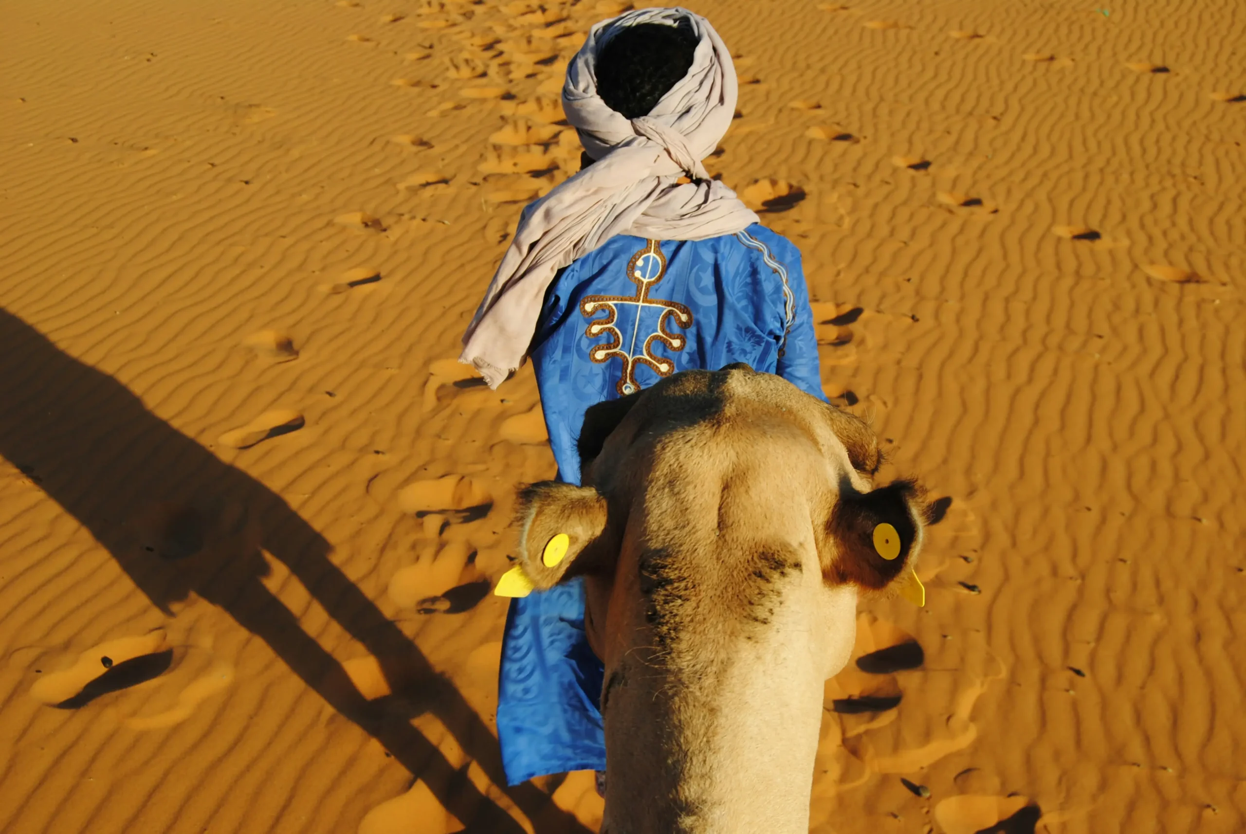 Customize your Morocco trip with Morocco Trip Marvels