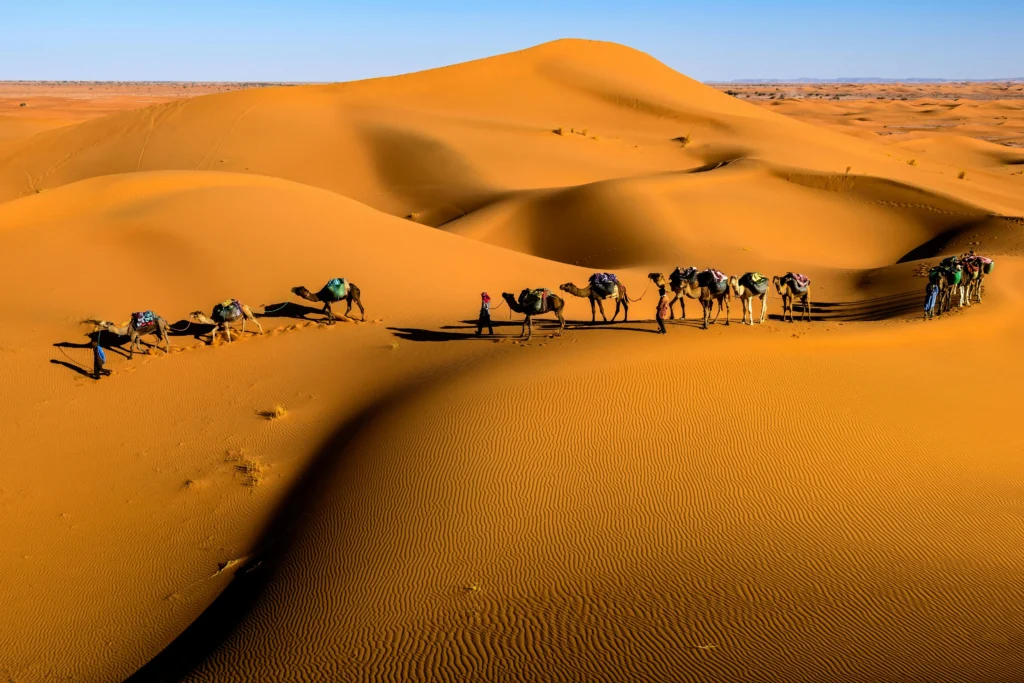 Morocco Trips desert dunes with camel caravan
