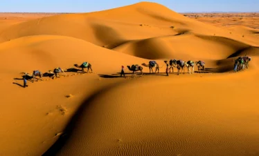 Morocco Trips desert dunes with camel caravan